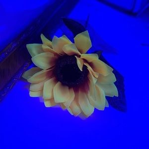 Meet your Posher, Lillie